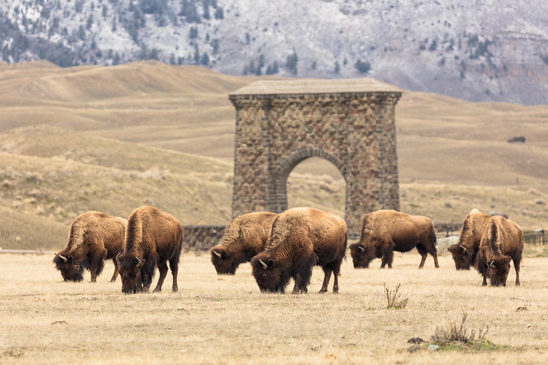150 rocznica utworzenia Yellowstone National Park
