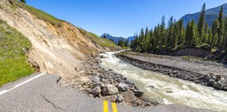 Nowe zasady w Yellowstone