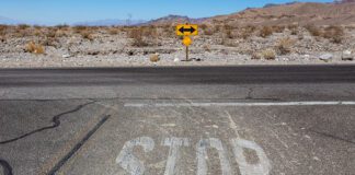 Death Valley po powodzi