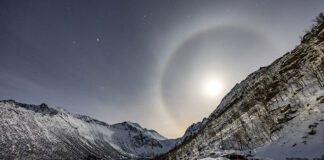 Efekt halo